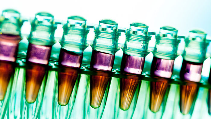 Personalisierte immunonkologische Therapie: derzeitige und künftige Strategien