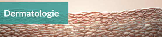 Fachbereichsseite Dermatologie